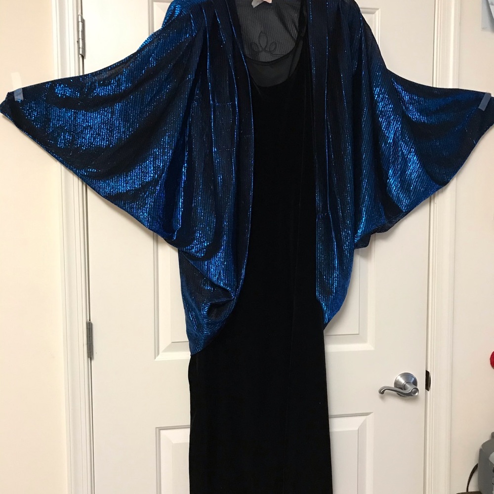 Formal black velvet long sleeveless dress.